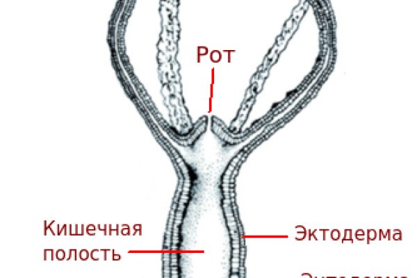 Ссылка омг сайта